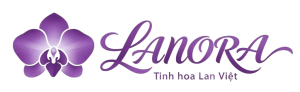 LANORA - TINH HOA LAN VIỆT